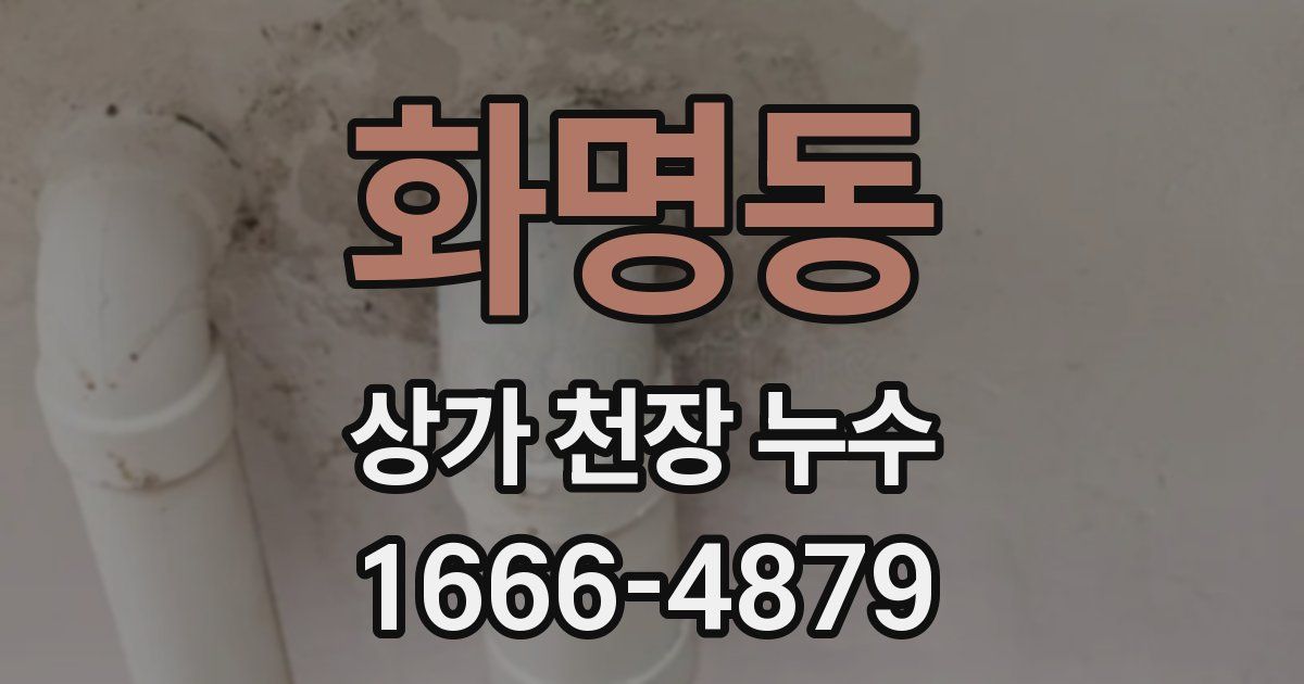 화명동 상가 천장 누수