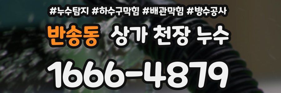 반송동 상가 천장 누수