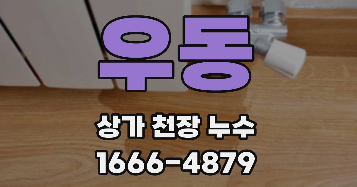 우동 상가 천장 누수