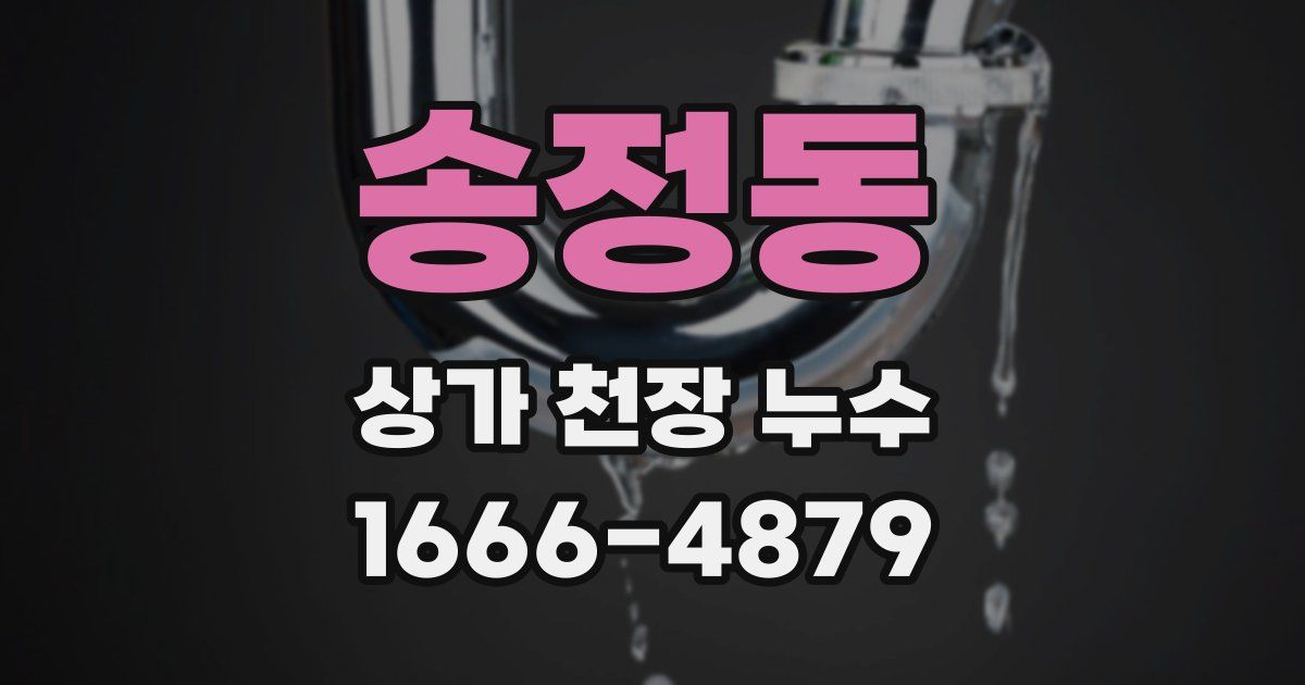 송정동 상가 천장 누수