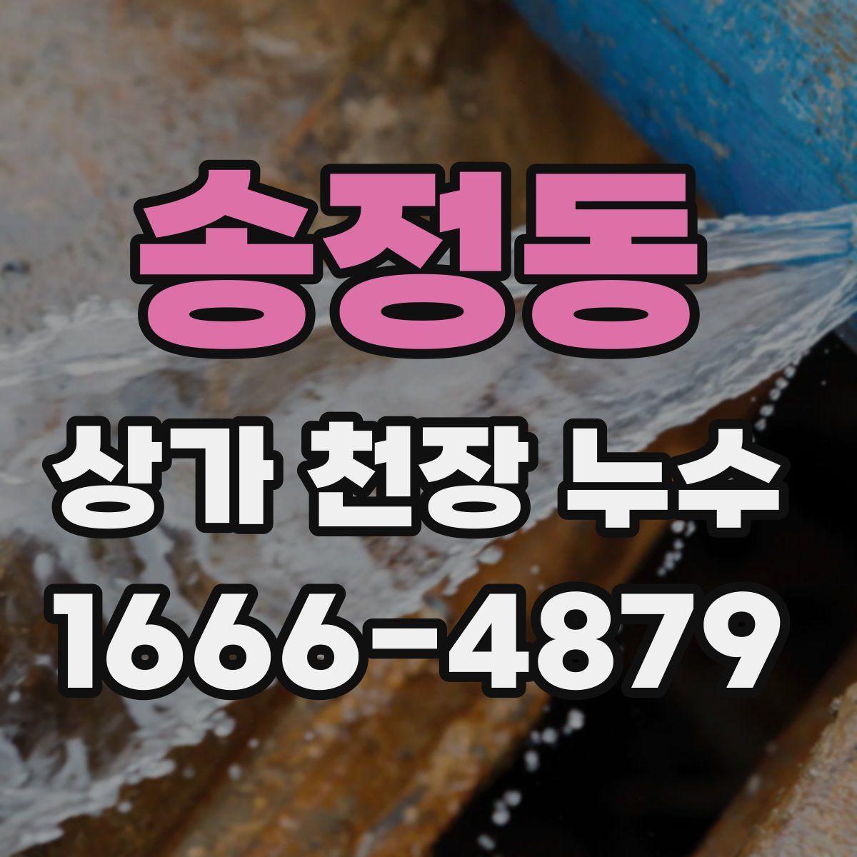 송정동 상가 천장 누수