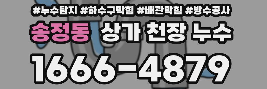 송정동 상가 천장 누수