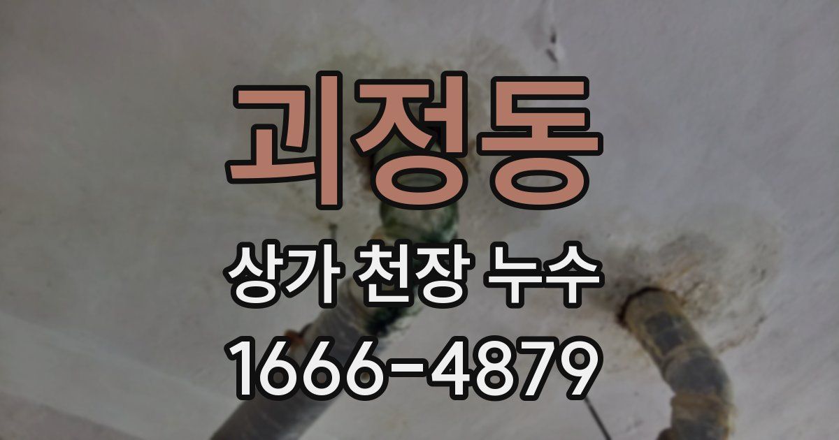 괴정동 상가 천장 누수