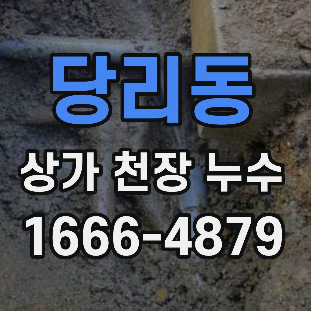당리동 상가 천장 누수