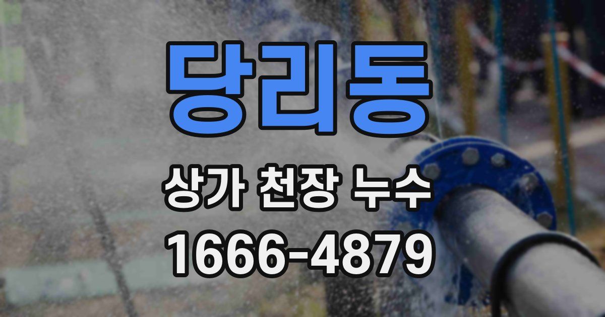 당리동 상가 천장 누수