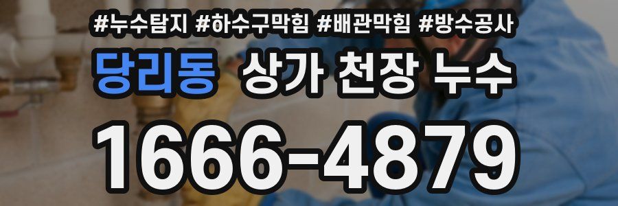 당리동 상가 천장 누수