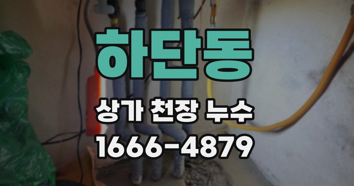 하단동 상가 천장 누수