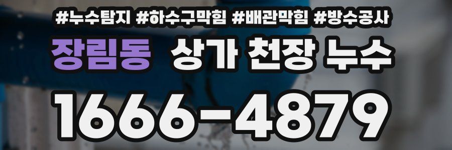장림동 상가 천장 누수