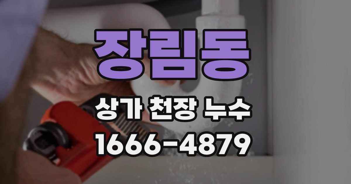 장림동 상가 천장 누수