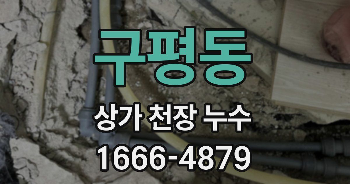 구평동 상가 천장 누수