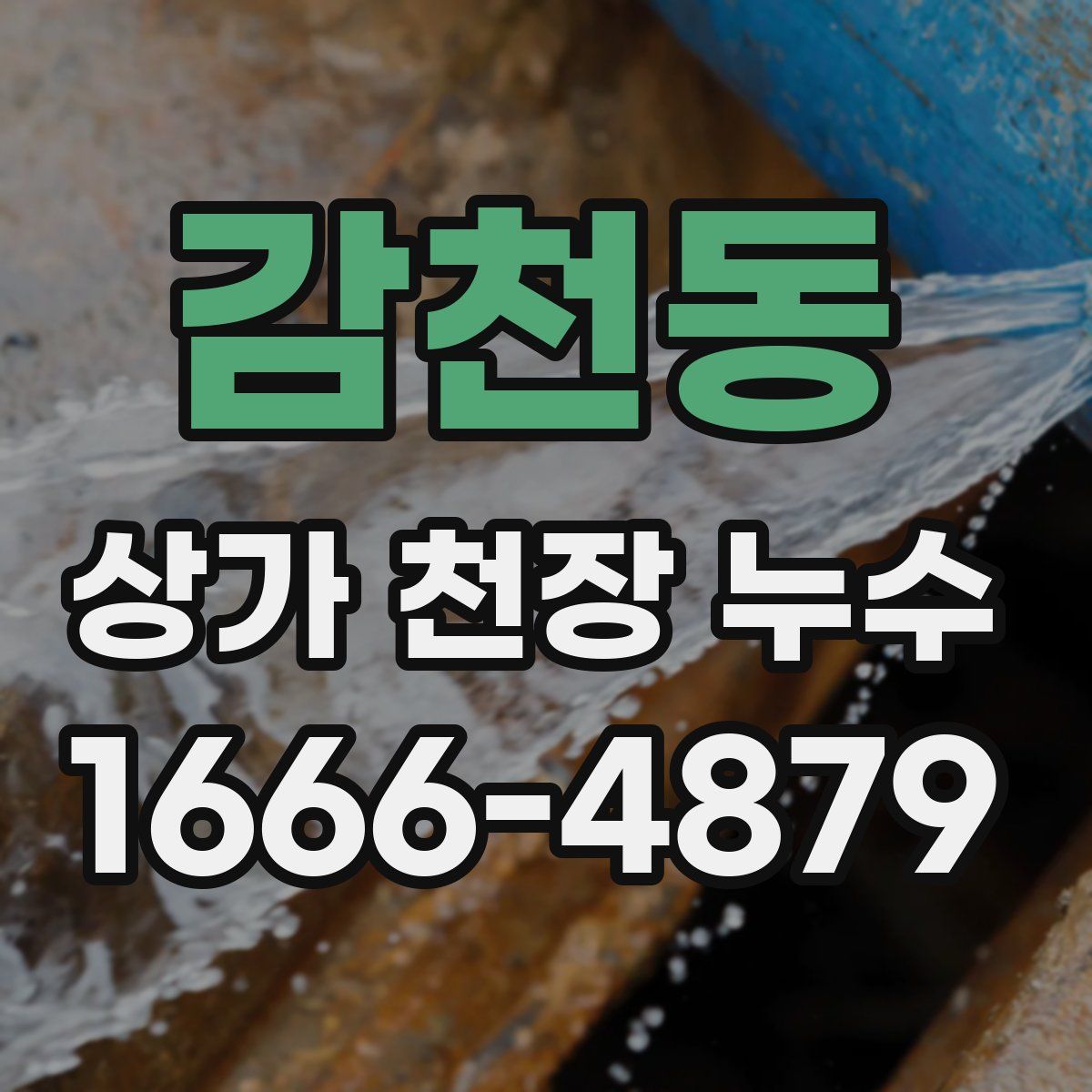 감천동 상가 천장 누수