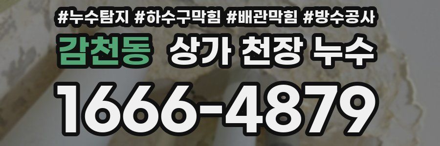감천동 상가 천장 누수