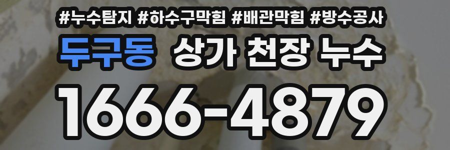 두구동 상가 천장 누수