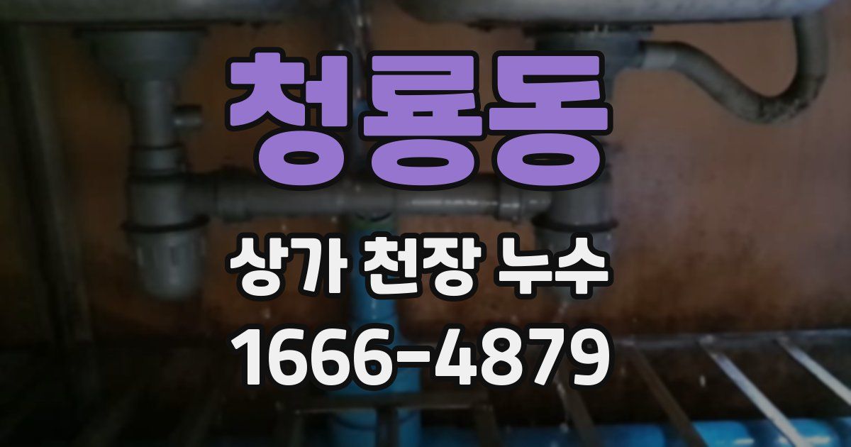청룡동 상가 천장 누수