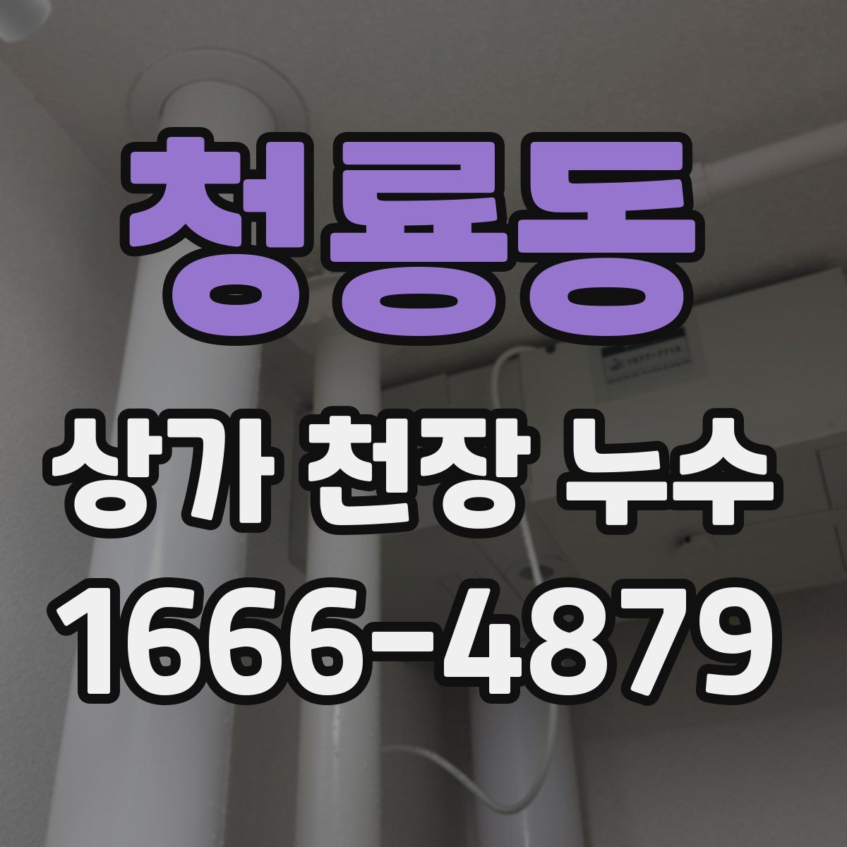 청룡동 상가 천장 누수