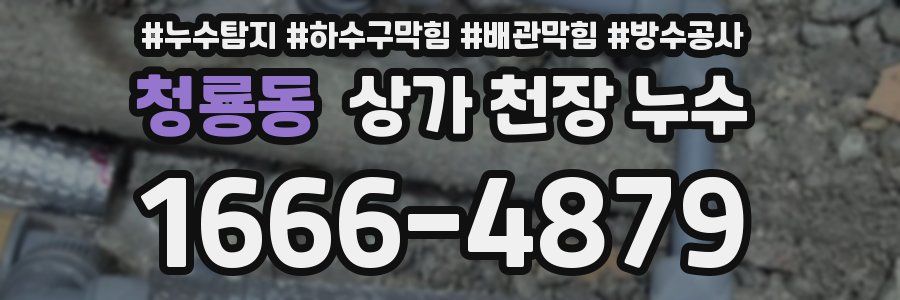 청룡동 상가 천장 누수