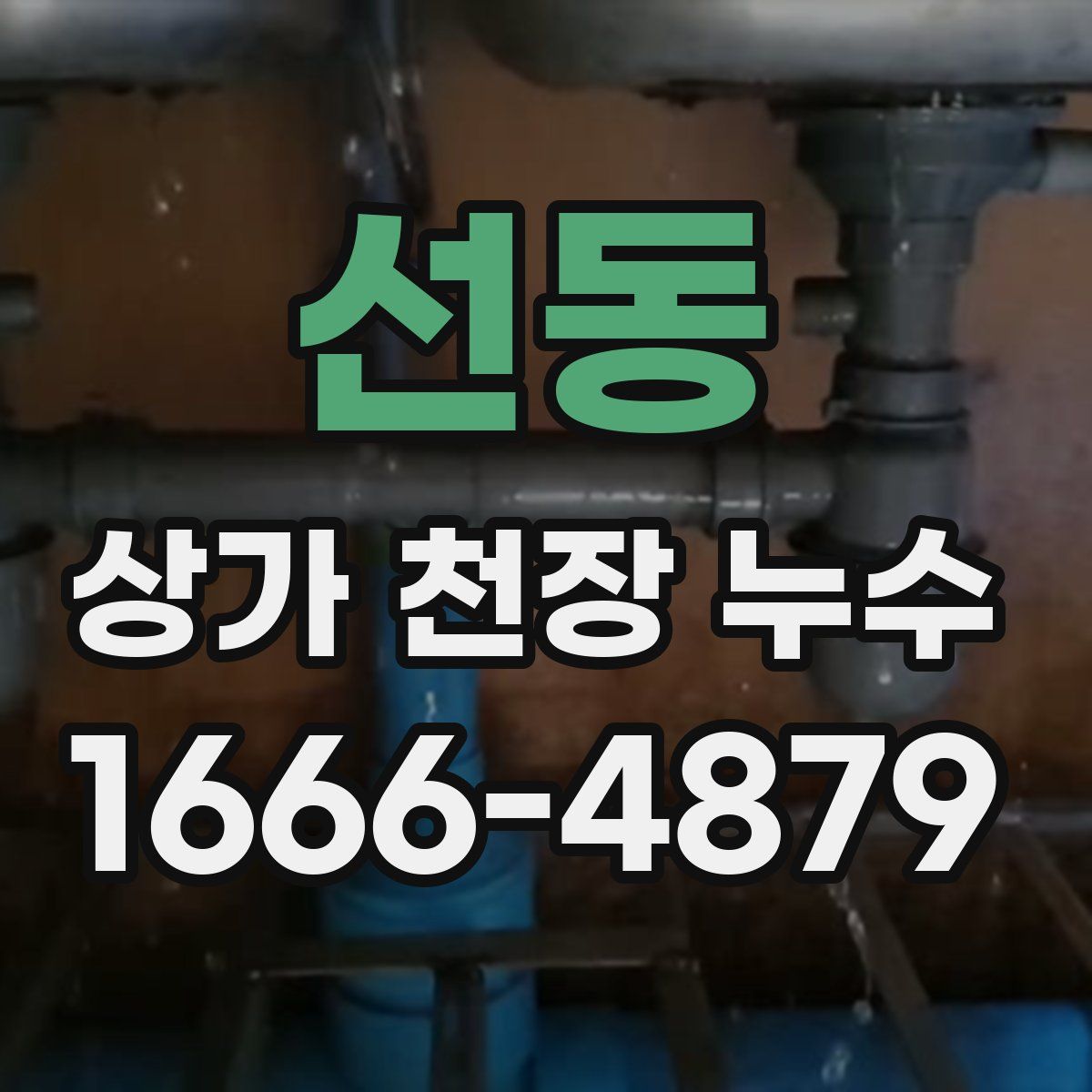 선동 상가 천장 누수