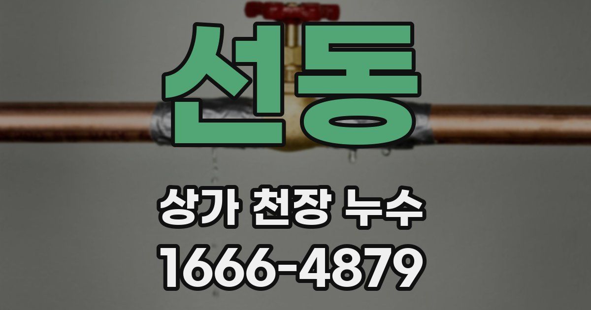 선동 상가 천장 누수