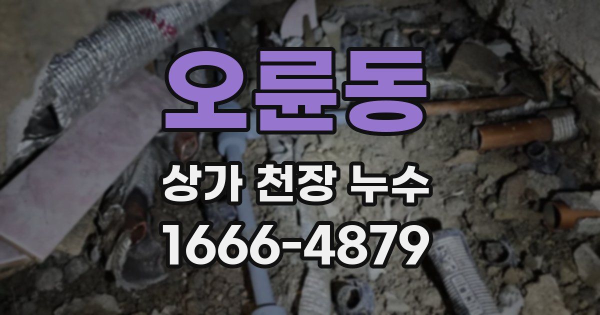 오륜동 상가 천장 누수