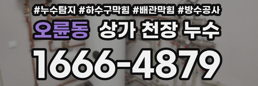 오륜동 상가 천장 누수