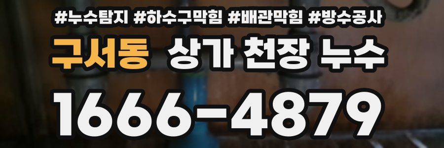 구서동 상가 천장 누수