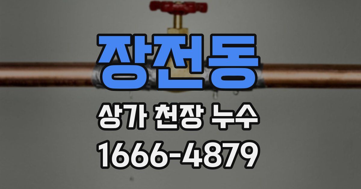 장전동 상가 천장 누수