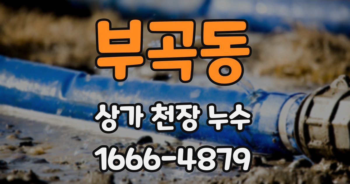 부곡동 상가 천장 누수