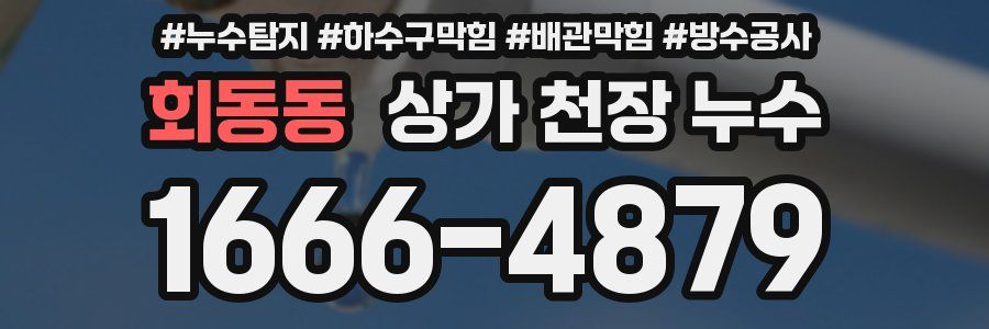 회동동 상가 천장 누수