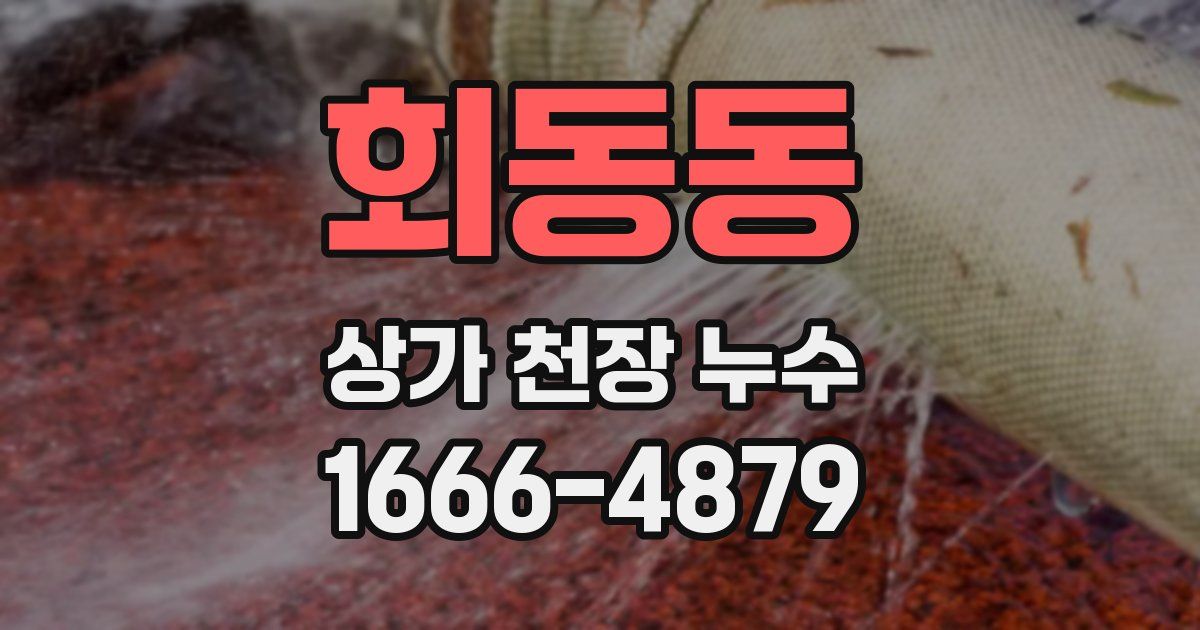 회동동 상가 천장 누수