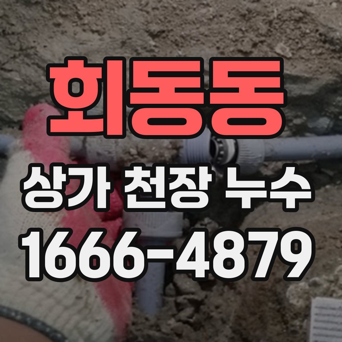 회동동 상가 천장 누수