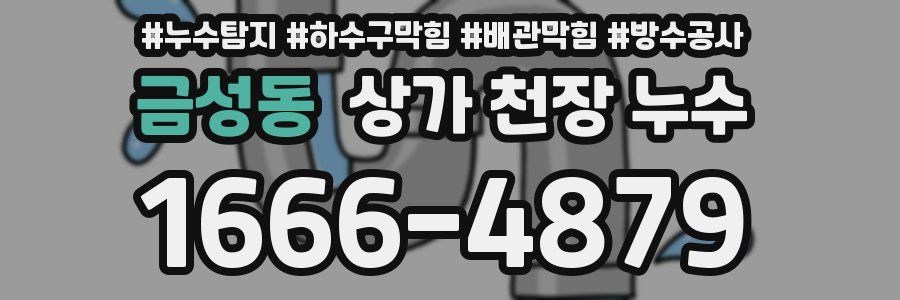 금성동 상가 천장 누수