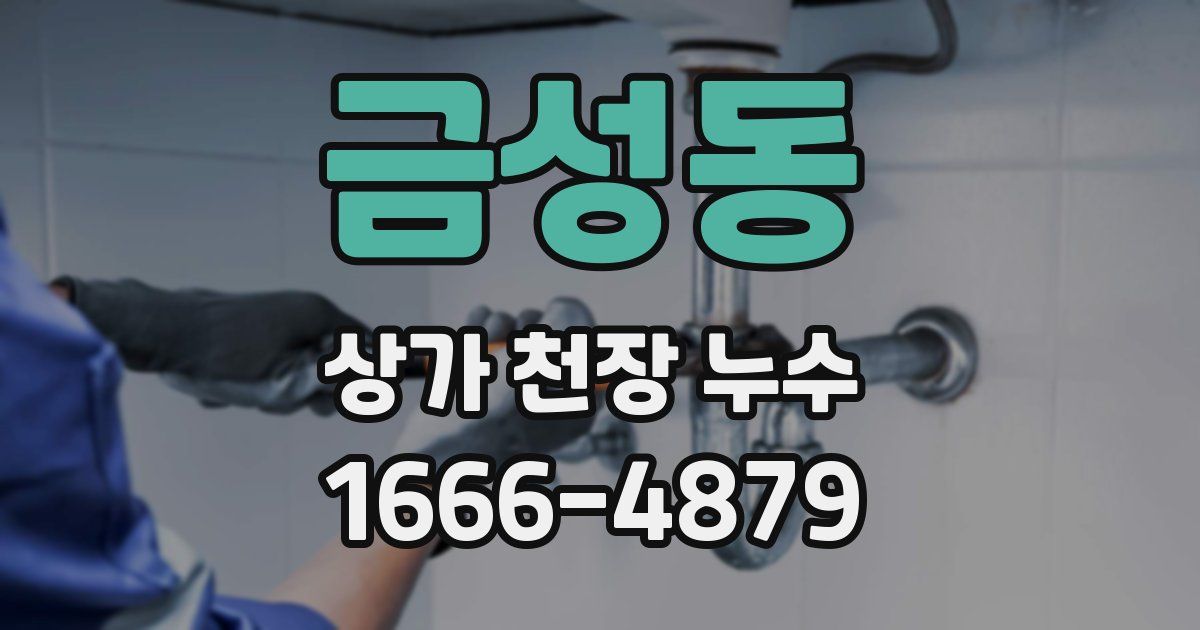 금성동 상가 천장 누수