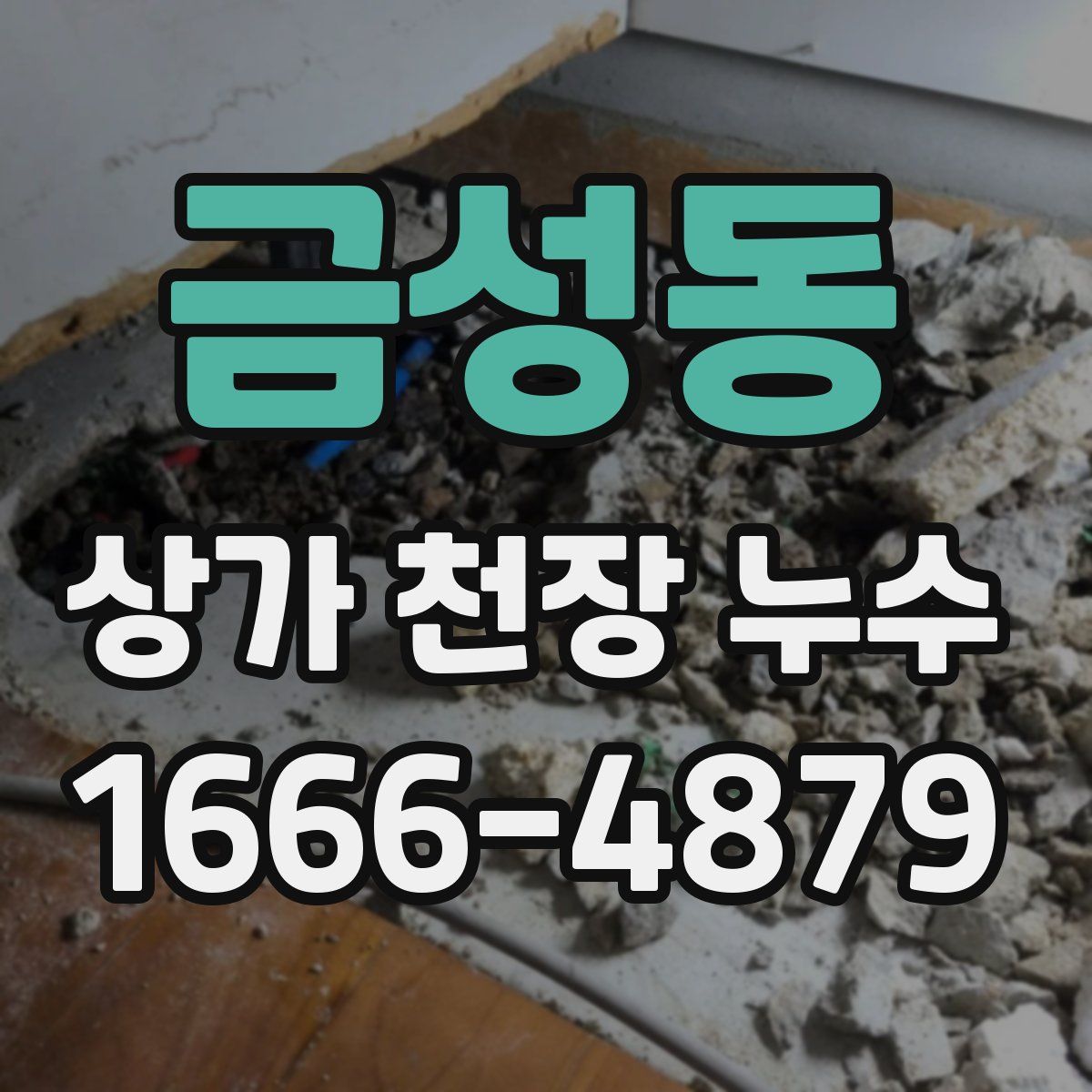 금성동 상가 천장 누수