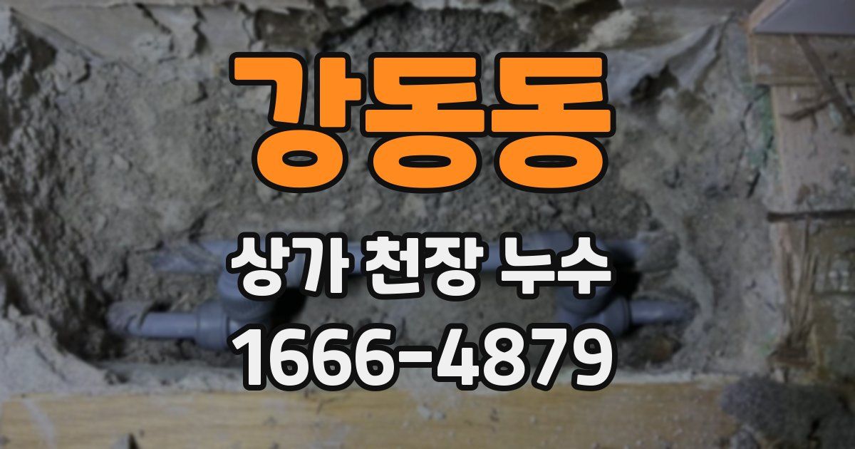 강동동 상가 천장 누수