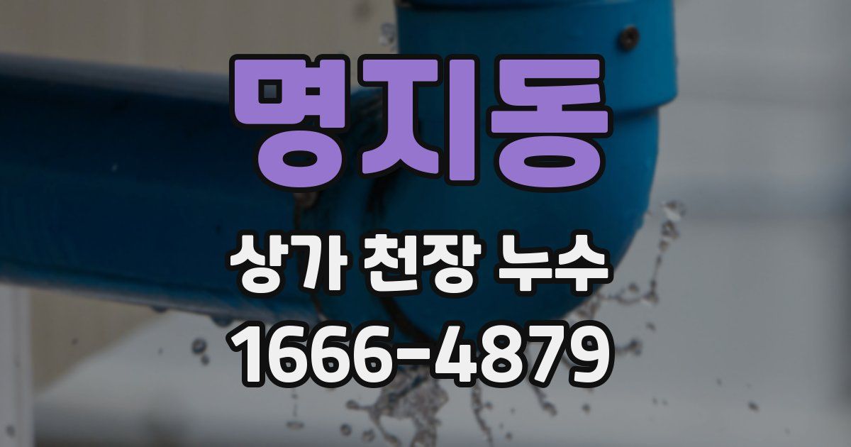 명지동 상가 천장 누수
