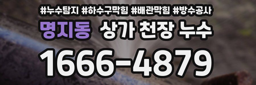 명지동 상가 천장 누수