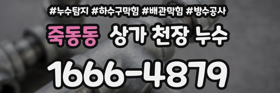 죽동동 상가 천장 누수