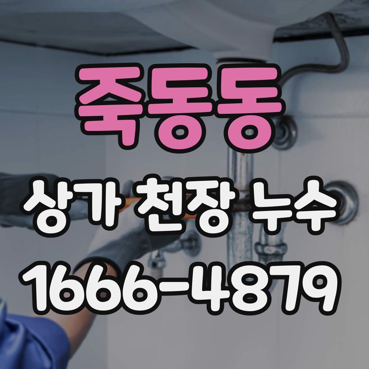죽동동 상가 천장 누수