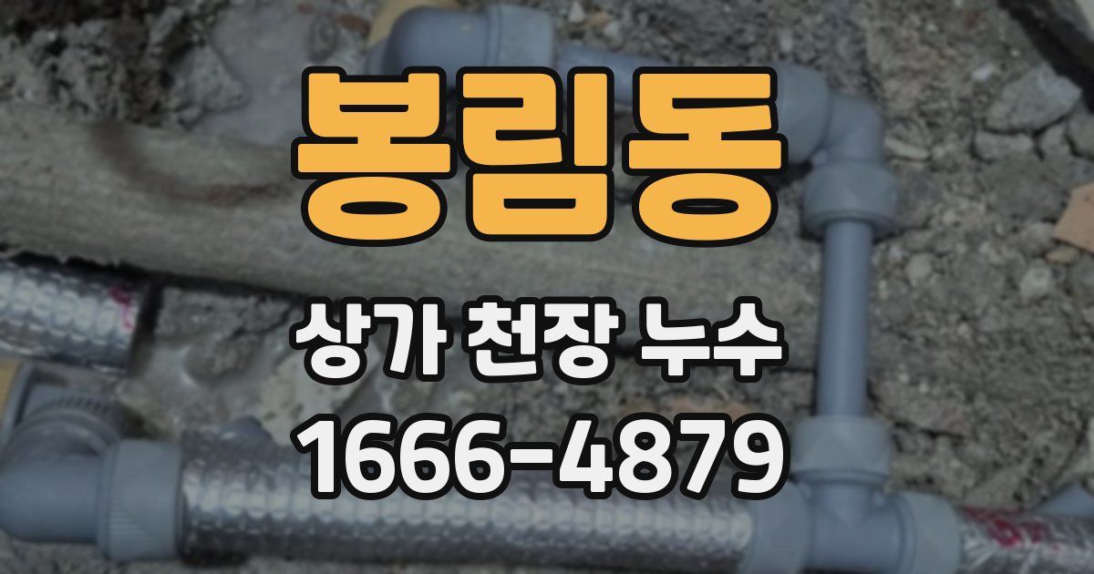 봉림동 상가 천장 누수