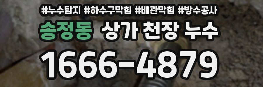 송정동 상가 천장 누수