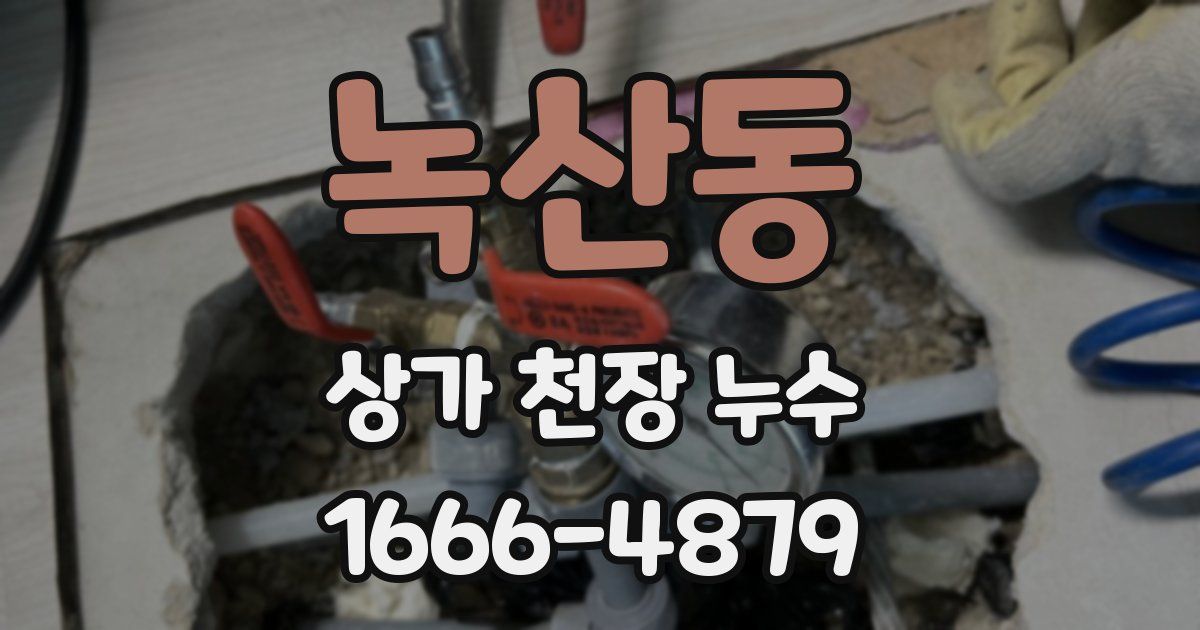 녹산동 상가 천장 누수