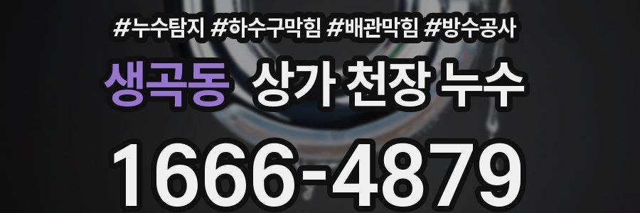생곡동 상가 천장 누수