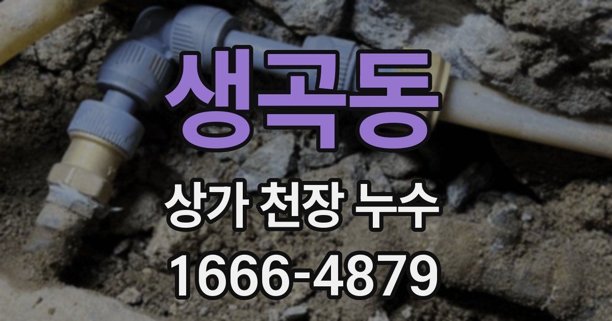 생곡동 상가 천장 누수