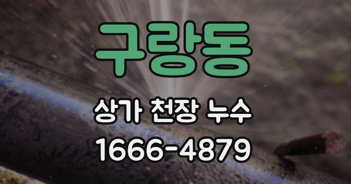 구랑동 상가 천장 누수