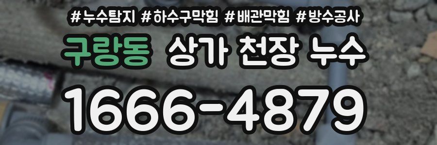 구랑동 상가 천장 누수