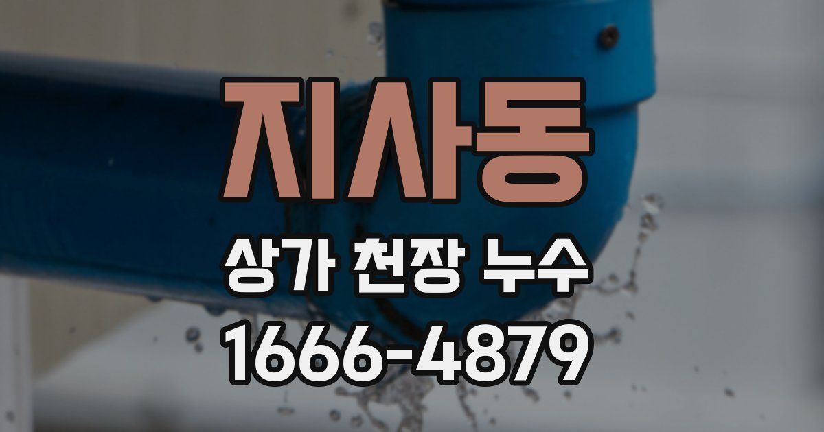 지사동 상가 천장 누수