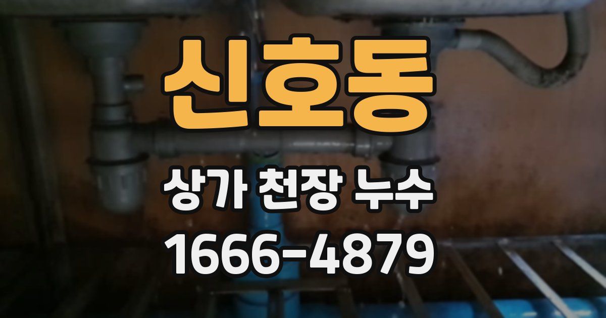 신호동 상가 천장 누수