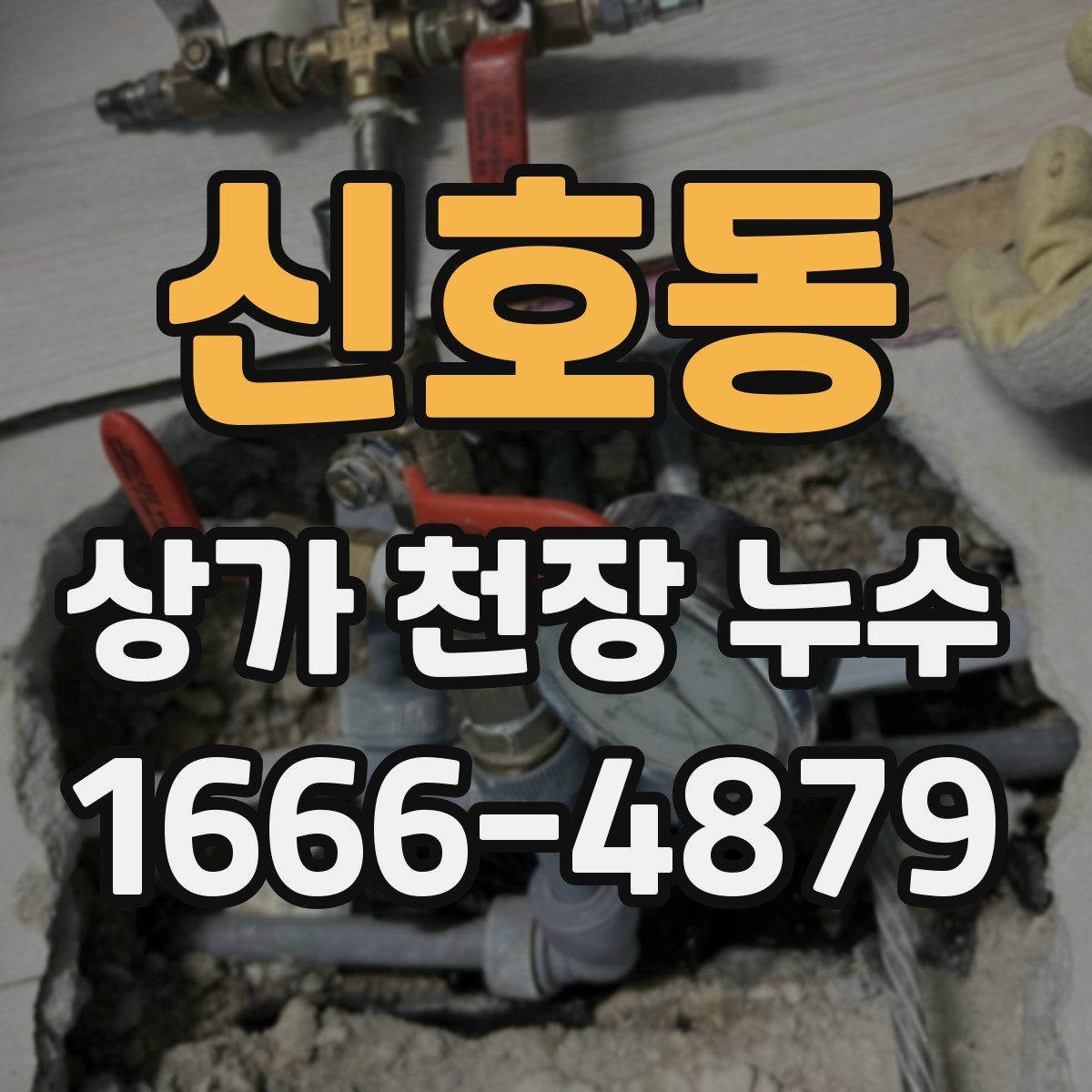 신호동 상가 천장 누수