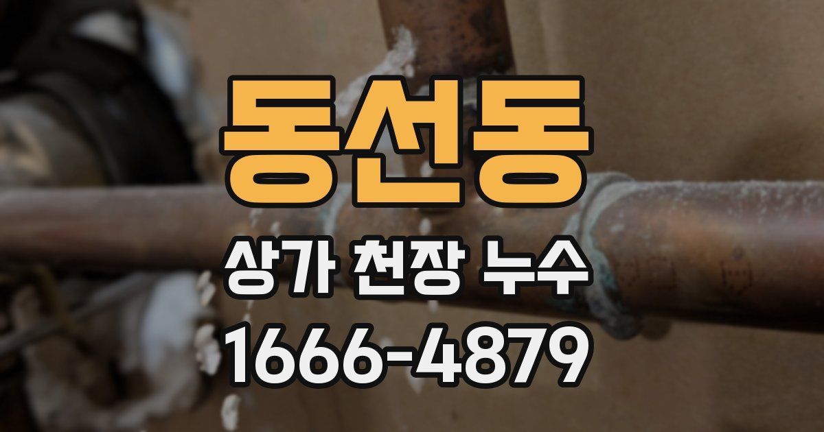 동선동 상가 천장 누수