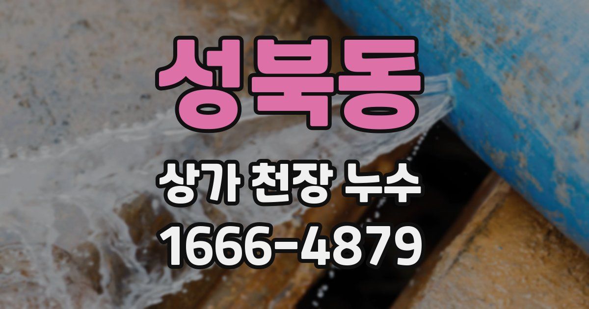성북동 상가 천장 누수